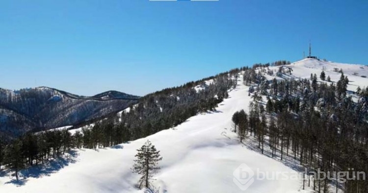 Muğla'dan karpostallık görüntüler