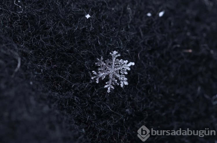 Kar kristallerinin eşsiz fotoğrafları
