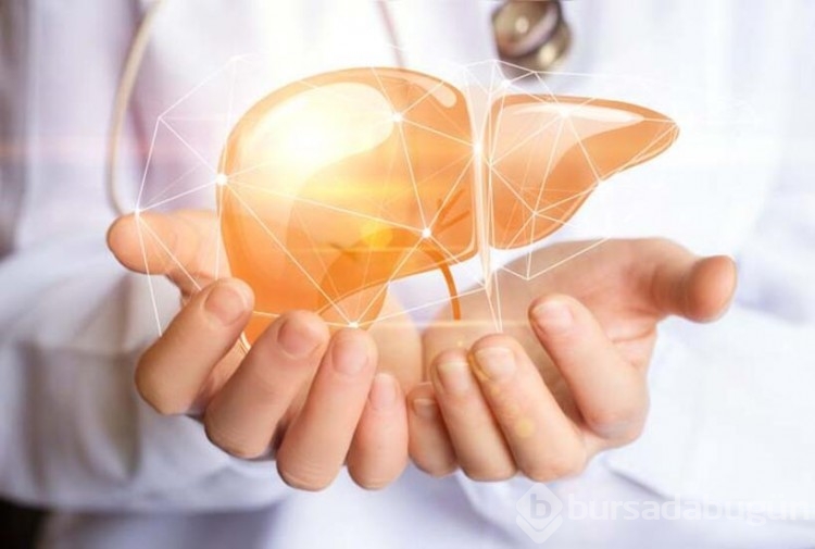 Karaciğer çalışmadığında nelere sebep olur?