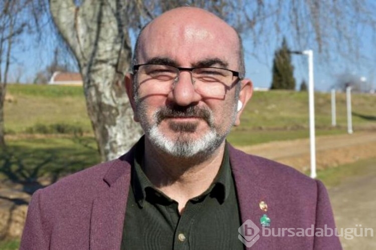 Köpekler barınaklara mahkum edildi!