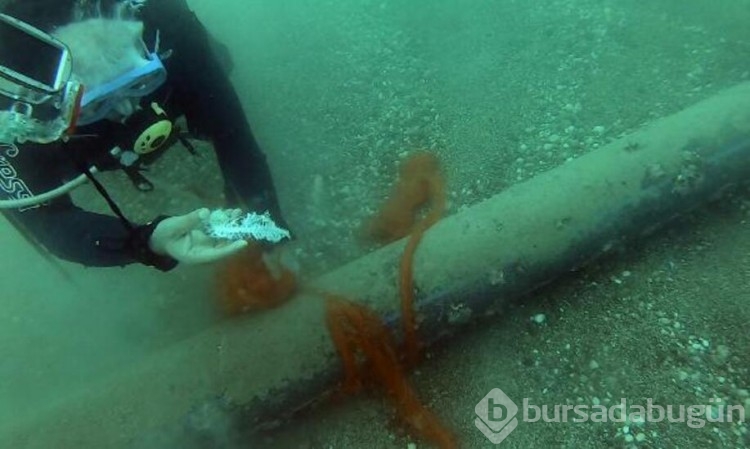 Hayalet ağlar deniz altında ölüm saçıyor