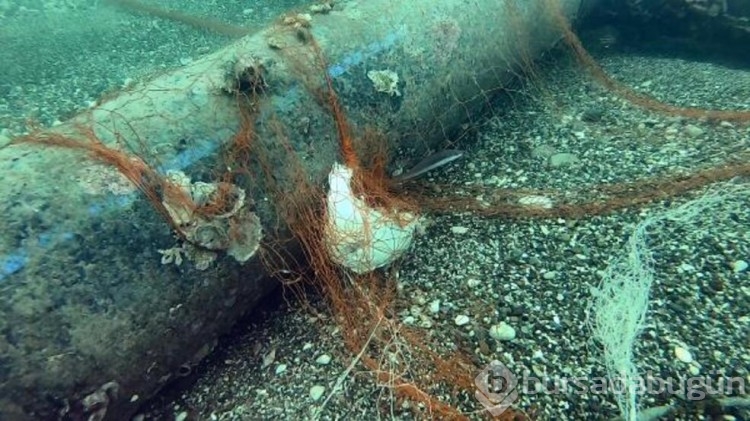 Hayalet ağlar deniz altında ölüm saçıyor