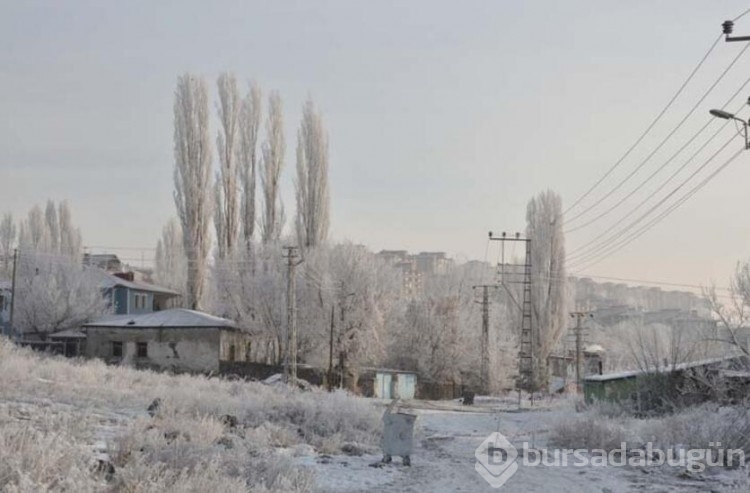 Kars buz kesti!