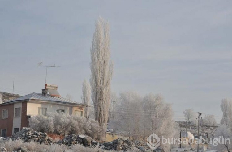 Kars buz kesti!