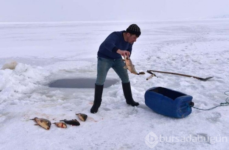 Eskimo usulü balık avı!