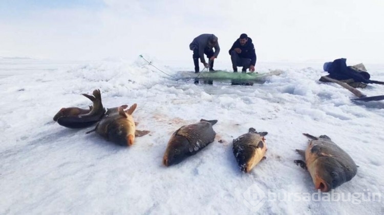 Eskimo usulü balık avı!