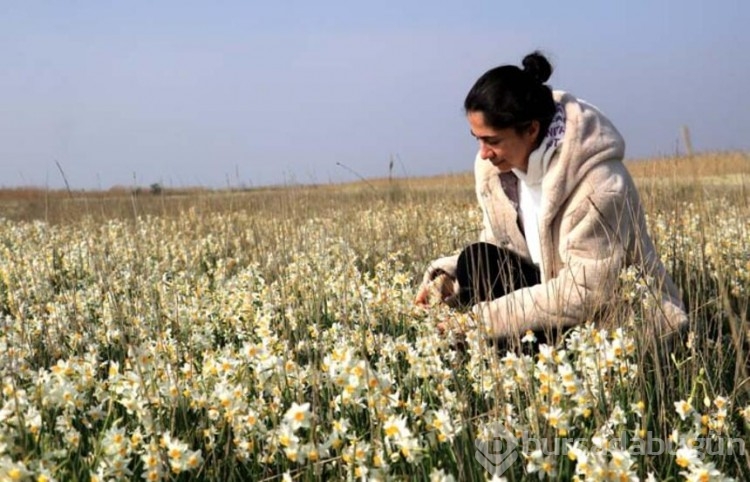 Adana'nın saklı cenneti: "Nergis Adası"