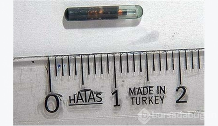 İlk kadın PTT memuresi Müdevvet Homris'in Bursalı olduğunu biliyor muydunuz? İşte Bursa'nın ilkleri...