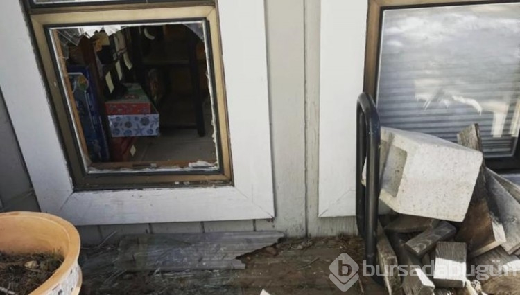 Kapıları ve pencereleri kırıp yiyecek çalan Tank lakaplı ayı aranıyor: Aktivistlerden öldürmeyin çağrısı