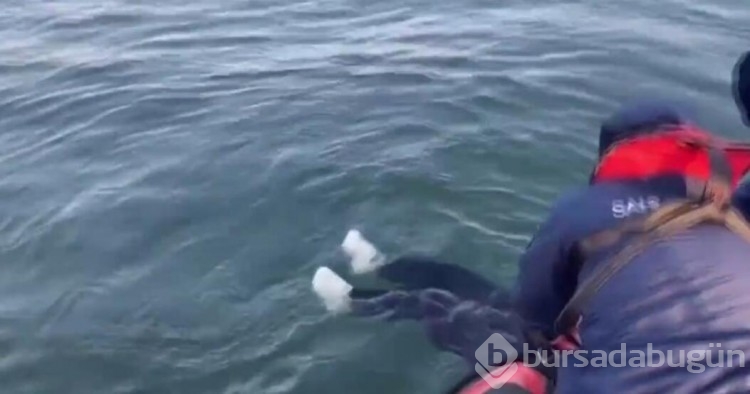Denize düşen yaşlı kadın Sahil Güvenlik tarafından kurtarıldı...