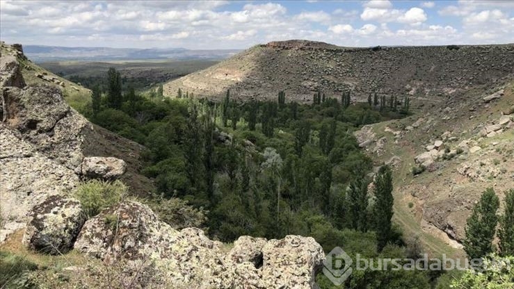 UNESCO Dünya Mirası Geçici Listesi'ne Türkiye'den 5 kültür varlığı