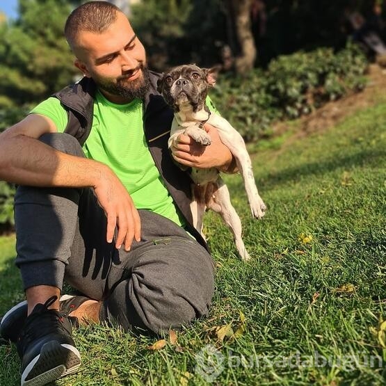 Sokak köpekleri neden saldırıyor, insanlar nerede hata yapıyor?
