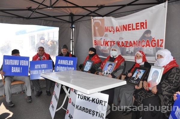 Muş'ta evlat nöbeti 48'inci haftaya girdi! 
