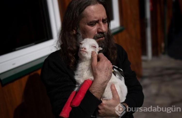 Ukrayna'da vahşi hayvanlar zor durumda!