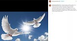 Hamdi Alkan ile Selen Görgüzel boşandı!
