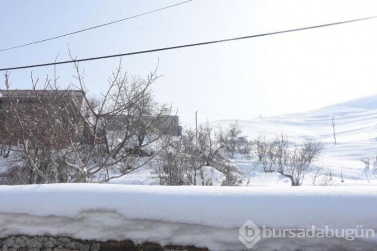 Bitlis'te 40 ev çığ sebebiyle tahliye edildi