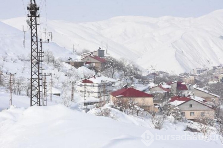 Bitlis'te 40 ev çığ sebebiyle tahliye edildi