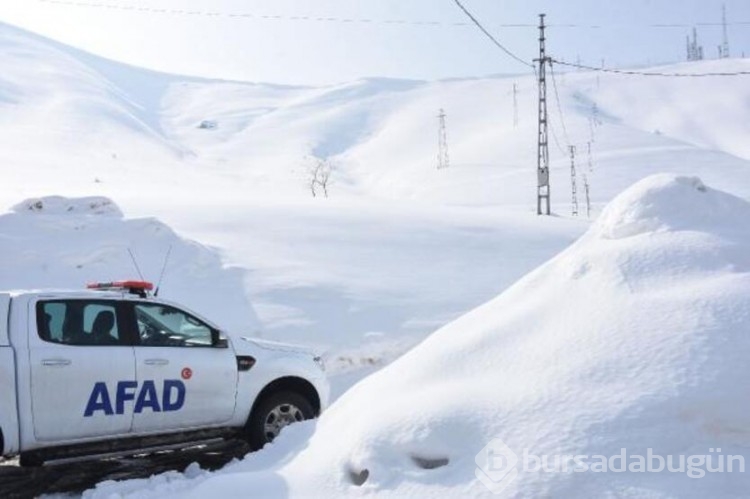 Bitlis'te 40 ev çığ sebebiyle tahliye edildi