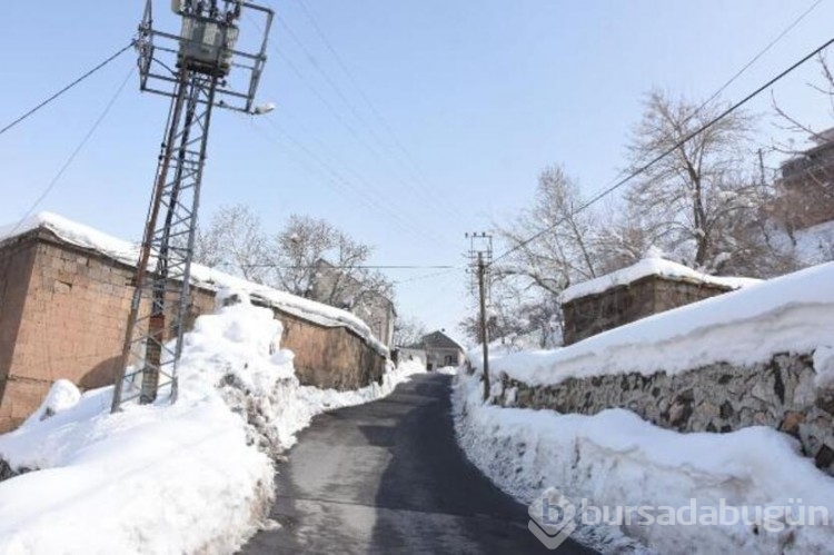 Bitlis'te 40 ev çığ sebebiyle tahliye edildi