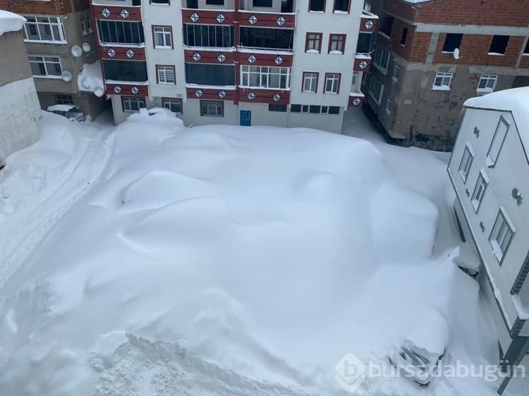 Karadeniz'de kar esareti: Araçlar kayboldu, evlerin girişleri kapandı