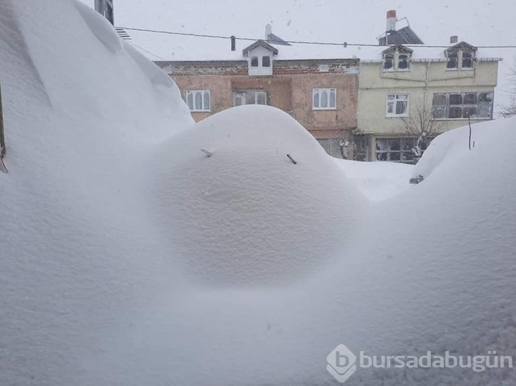 Karadeniz'de kar esareti: Araçlar kayboldu, evlerin girişleri kapandı