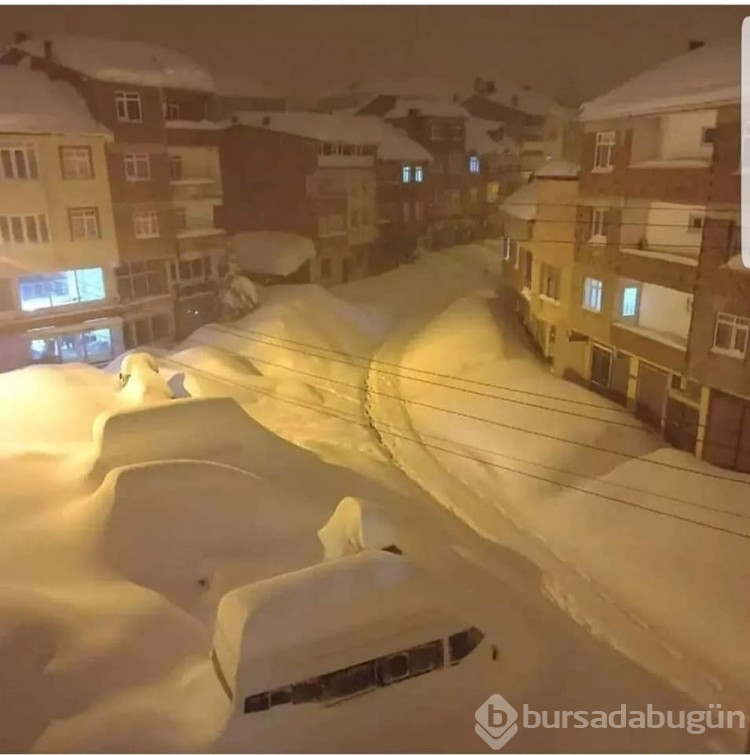 Karadeniz'de kar esareti: Araçlar kayboldu, evlerin girişleri kapandı