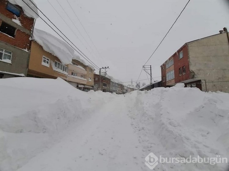 Karadeniz'de kar esareti: Araçlar kayboldu, evlerin girişleri kapandı