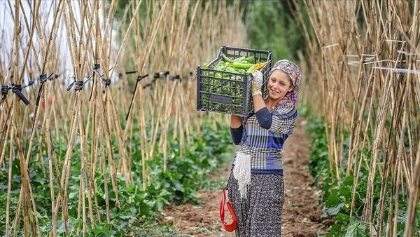 Başkan Erdoğan talimatı verdi!