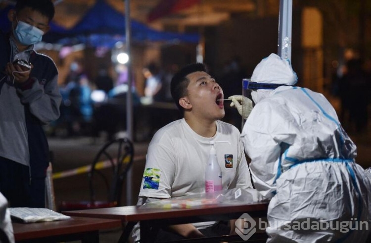 İngiltere'de Ebola benzeri ölümcül virüse rastlandı!