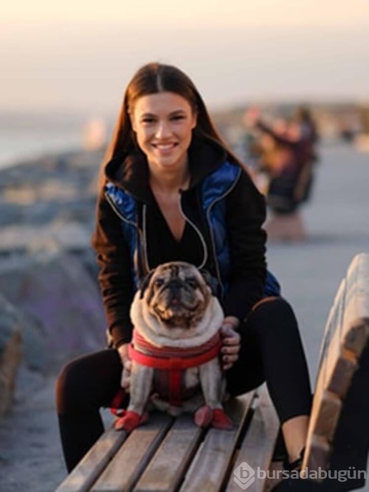 Yüsra Geyik köpeğini bebek arabasında gezdiriyor...