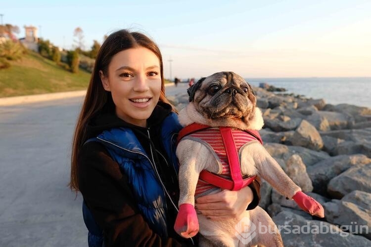 Yüsra Geyik köpeğini bebek arabasında gezdiriyor...