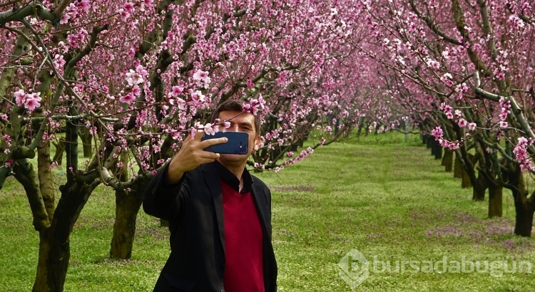 Bursa'da fotoğraf stüdyosu gibi meyve bahçeleri