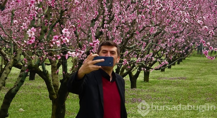Bursa'da fotoğraf stüdyosu gibi meyve bahçeleri