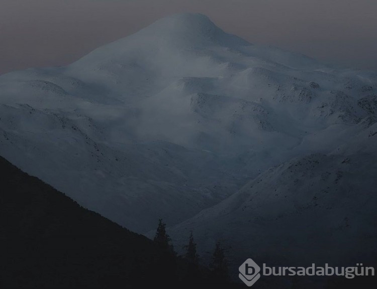 2022 Dünya Fotoğraf Ödüllerinin sahipleri belli oldu