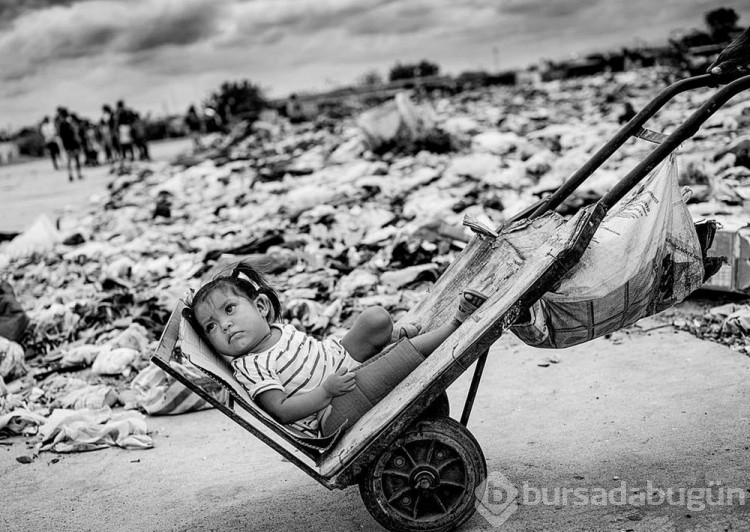 2022 Dünya Fotoğraf Ödüllerinin sahipleri belli oldu