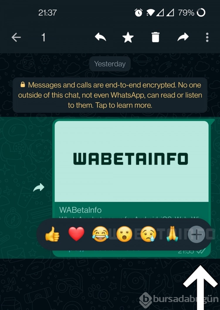 WhatsApp mesajlara emoji  ile tepki verme özelliğini geliştiriyor