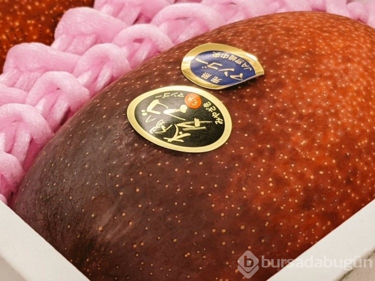 Japonya'da iki mango 58 bin 300 lira...