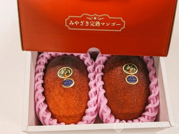 Japonya'da iki mango 58 bin 300 lira...