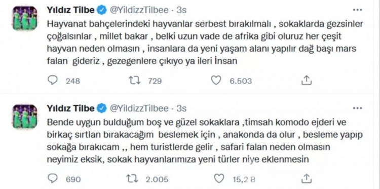 Yıldız Tilbe: Sokakta timsah besleyeceğim