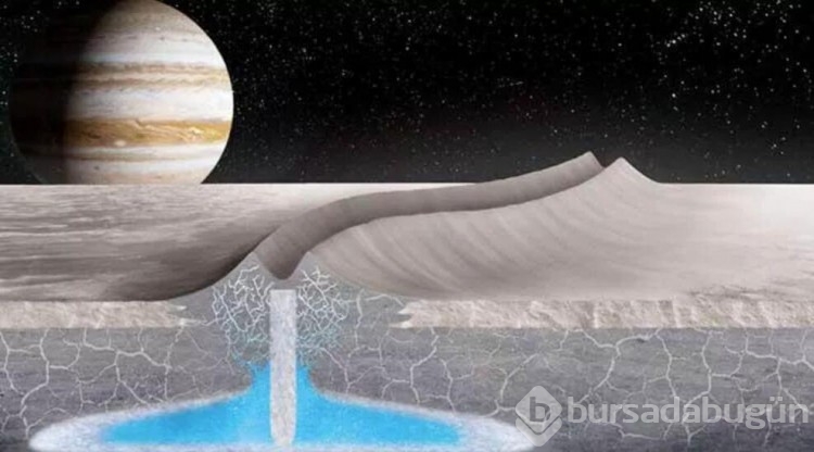 Europa'da yaşam umudu!