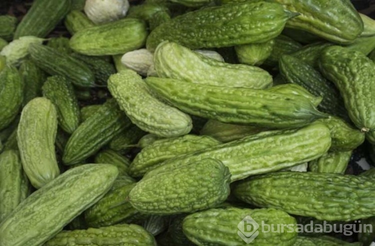 Kudret narı nedir?