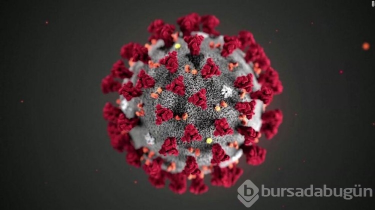 Gizemli hepatit vakalarına uyarı!
