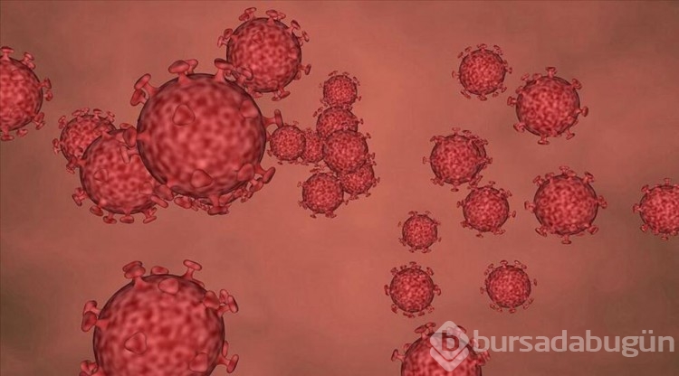 Gizemli hepatit vakalarına uyarı!