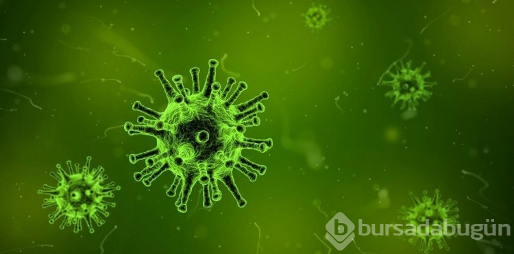 Gizemli hepatit vakalarına uyarı!