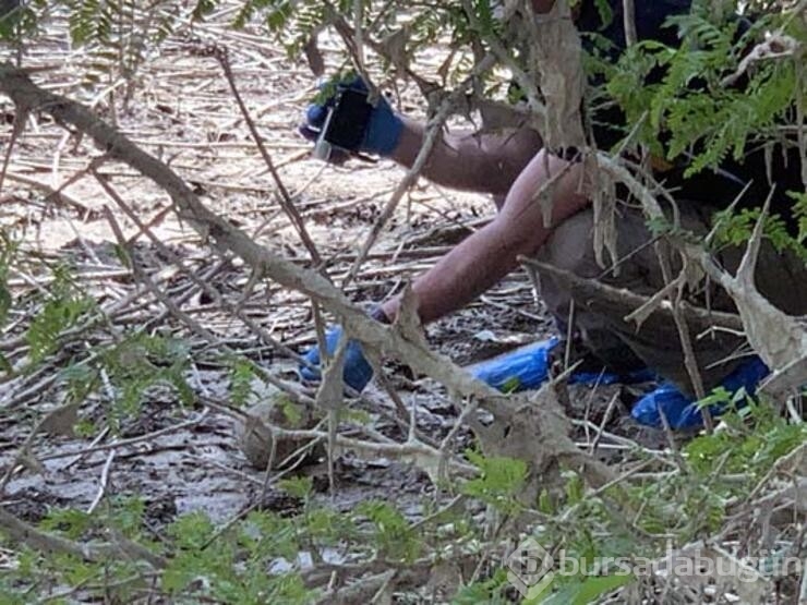 Seyhan Nehri kıyısında insan kemikleri ve kafatası bulundu
