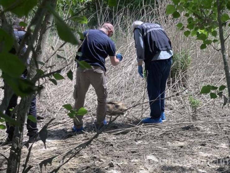 Seyhan Nehri kıyısında insan kemikleri ve kafatası bulundu