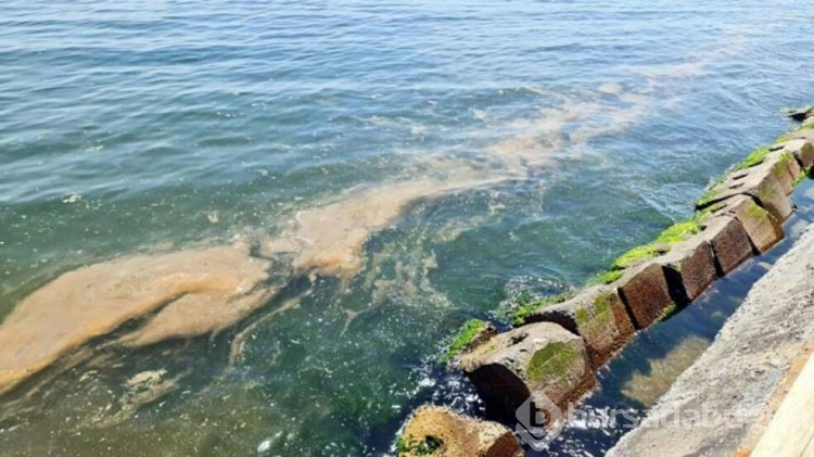  Marmara'da müsilaj açıklaması!