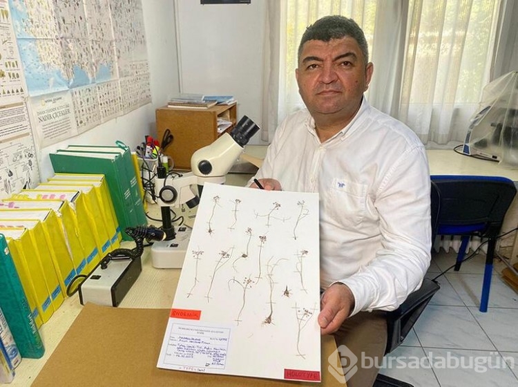 İzmir'de endemik tür keşfedildi, bilim dünyasına tanıtıldı