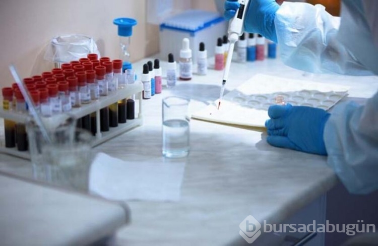Minerali magnezyumun faydaları nelerdir?