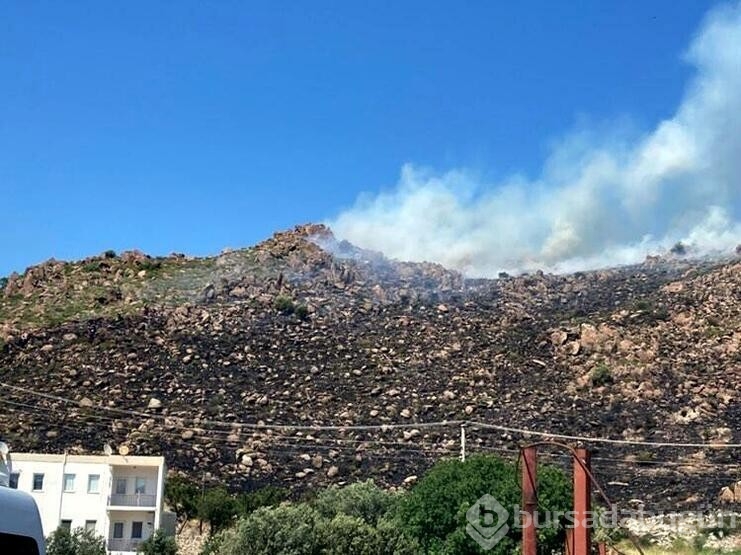 Bodrum'da yangında 1,5 hektar alan tahrip oldu
